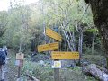 IMG_5953