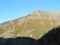 IMG_5954