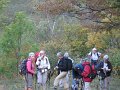 IMG_5955