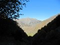 IMG_5958