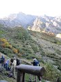 IMG_5961
