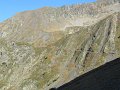 IMG_5969
