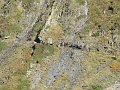 IMG_5970