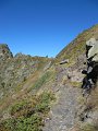 IMG_5971