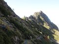 IMG_5981