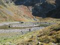 IMG_5982