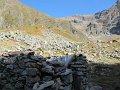 IMG_5999