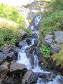 IMG_6004
