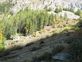 IMG_6012