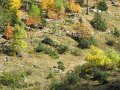 IMG_6013