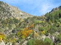 IMG_6016