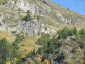 IMG_6017