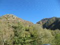 IMG_6018