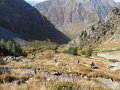 DSC00065