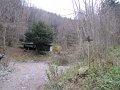 IMG_6195