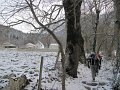 IMG_6197