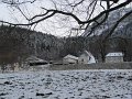 IMG_6198