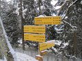 IMG_6200
