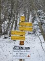 IMG_6201