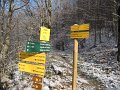 IMG_6206