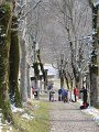 IMG_6211