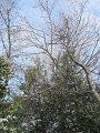 IMG_6226
