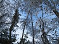 IMG_6227