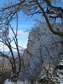 IMG_6230