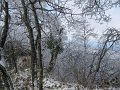 IMG_6231