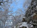 IMG_6232