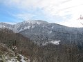 IMG_6233