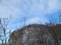 IMG_6234
