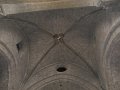 IMG_6261