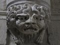 IMG_6264