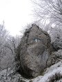 IMG_6277