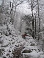IMG_6278