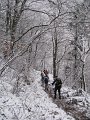 IMG_6279