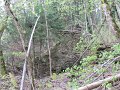 IMG_7592