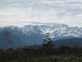 IMG_7595