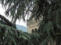 IMG_7617