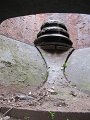 IMG_7629