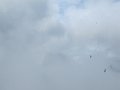 IMG_8809