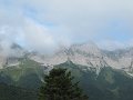 IMG_8810