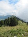 IMG_8822
