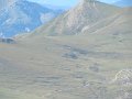 IMG_9133