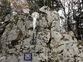 DSC04238