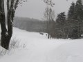 IMG_0297