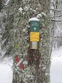IMG_0302