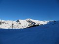 IMG_0331