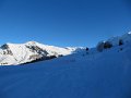 IMG_0332